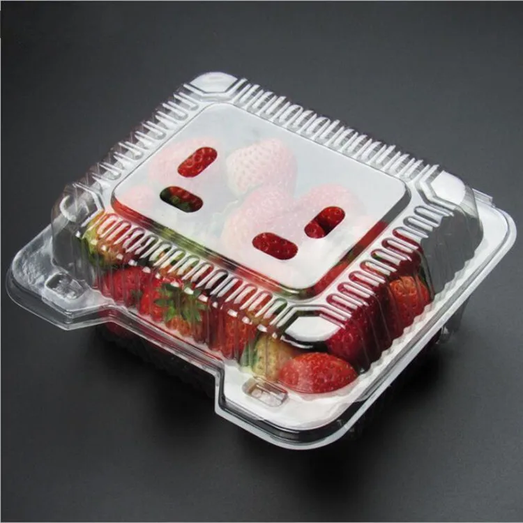 500g Clear Plastic Biodegradable Fruit Strawberry Packaging Container