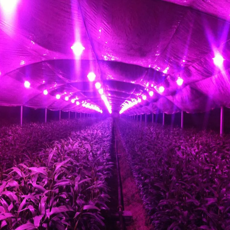 30W 50W 100W 120W Led grow light chip full spectrum 380840nm 100W led