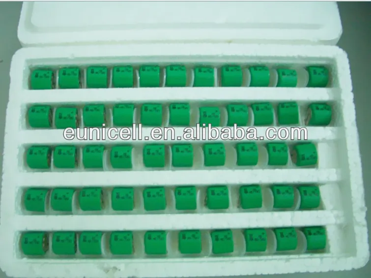 CR1 3N with pins.JPG