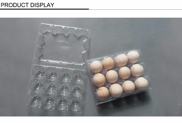 Cheap Disposable Plastic Egg Tray With Lid Buy Egg Tray With Lid
