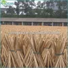 Manufacture factory supplier 120*2.2CM eucalyptus tree price