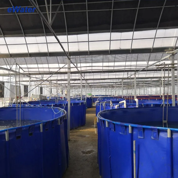 Shrimp Farming Equipment Fish Farming Ras System - Buy Shrimp Farming ...