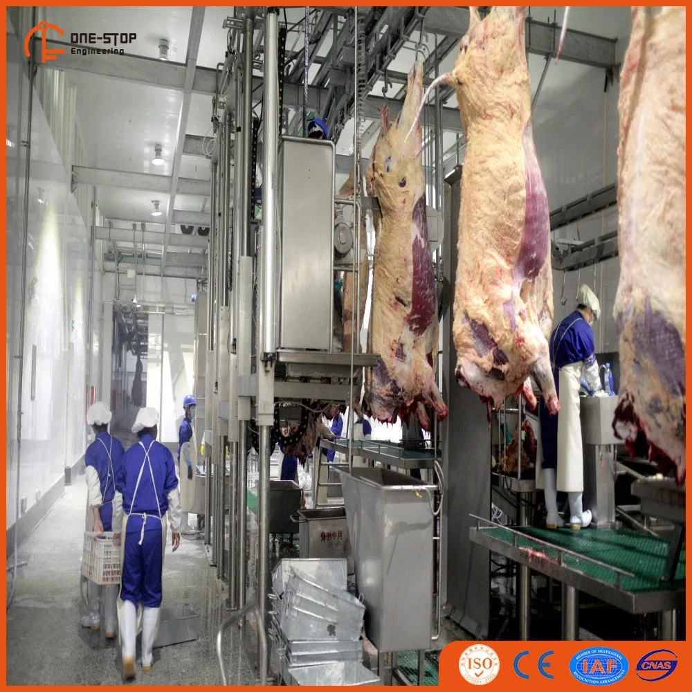 Halal Abattoir Machine Lamb Slaughter Equipment Sheep Slaughterhouse