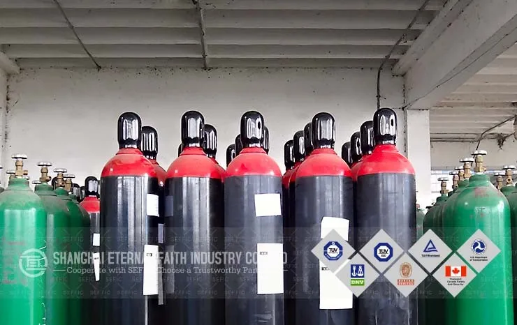 gas cylinder (5)