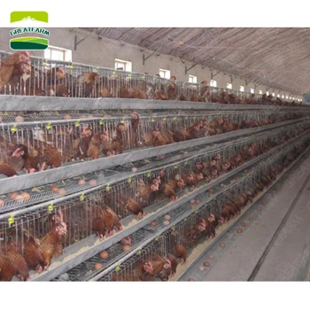 Best Selling Product In South Africa Poultry Farm Equipment Chicken Coop Chicken Cage Farm Buy Chicken Cage Farmpoultry Farm Equipment Chicken Cage