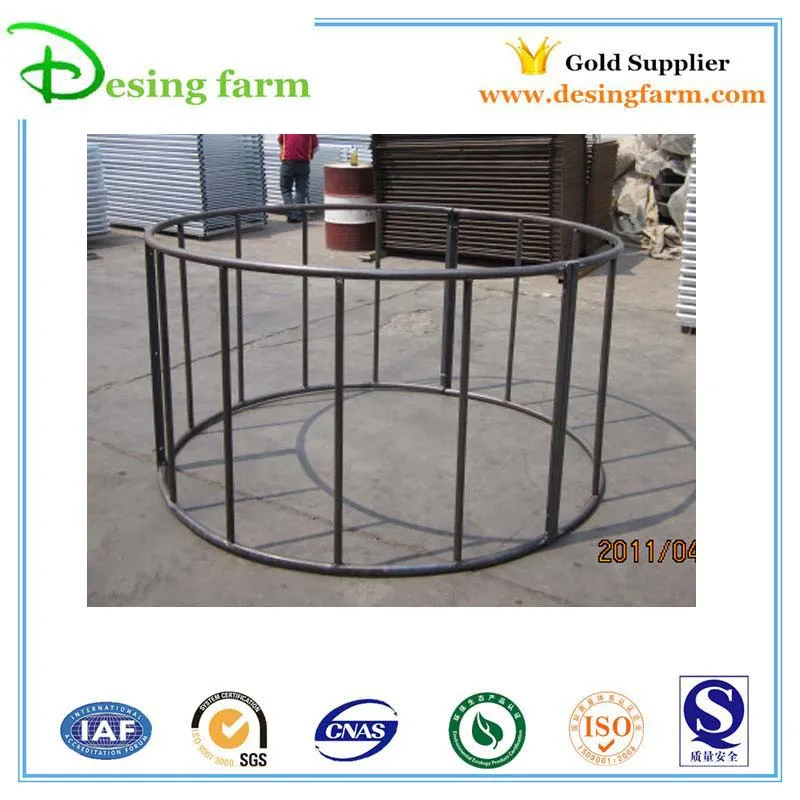 Desing low cost dairy farm equipment high-performance company-4