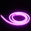 CE RoHS GS SAA christmas outdoor approval led neon flexible strip light for building decoration