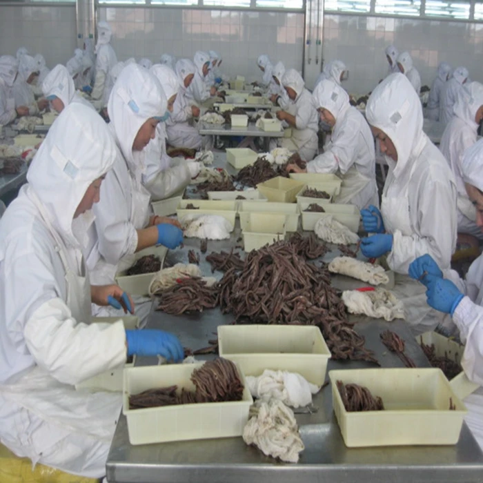 salted anchovy fillet