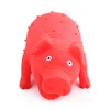 RoblionPet Wholesale New odd pet toy lining up and sound making toy pig eco-friendly colorful pig pet toy