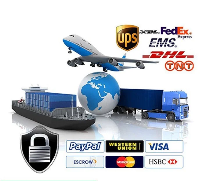 paste-pic-dp_uuid_0ktq3