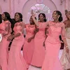 2018 Gorgeous Blush Pink Mermaid African Bridesmaid Dress Nigeria Wedding Guest Gown