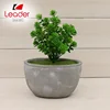 Mini Plastic Lifelike Artificial Plants Green Grass Flower with Pots Artificial Flower Wholesale