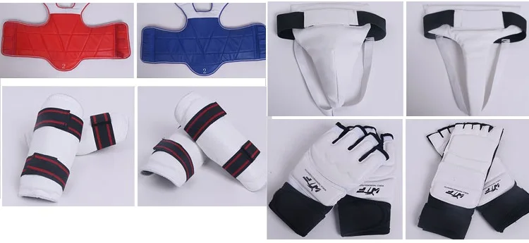 taekwondo protector1 (1).jpg