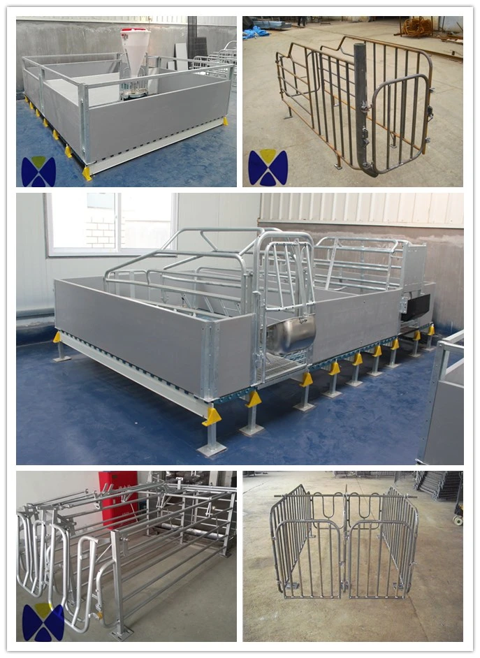Hot Galvanized Pig Farrowing Pens Used Pig Farrowing Crates Buy