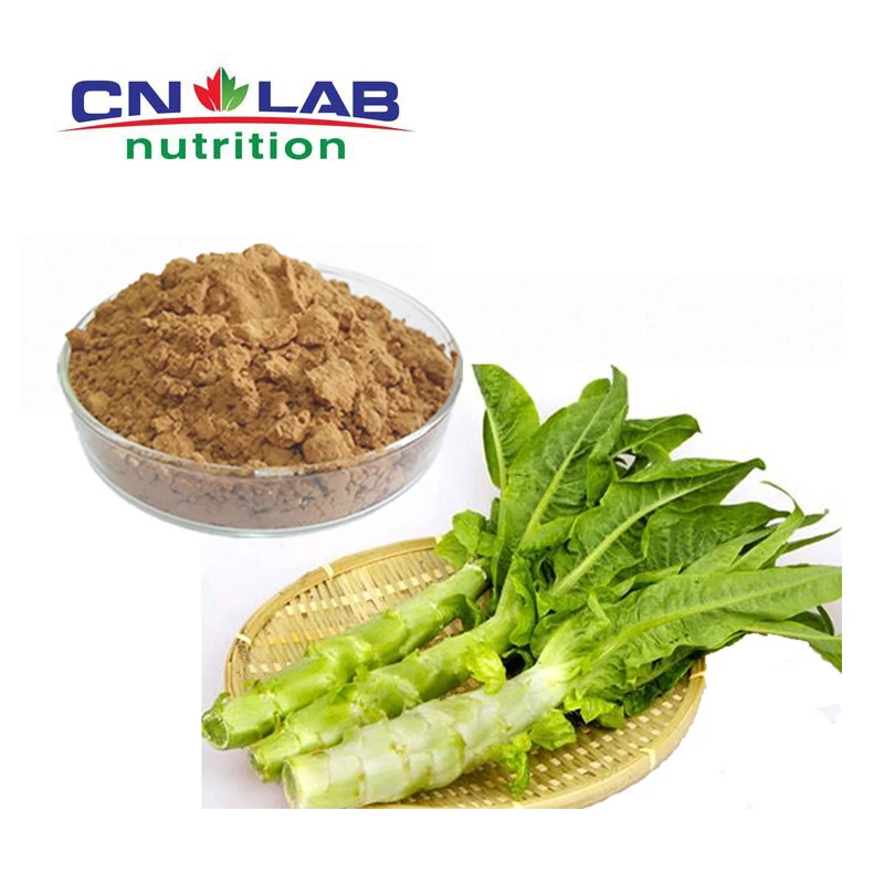Natural 100 Wild Lettuce Extract 41201 Buy High Quality Wild