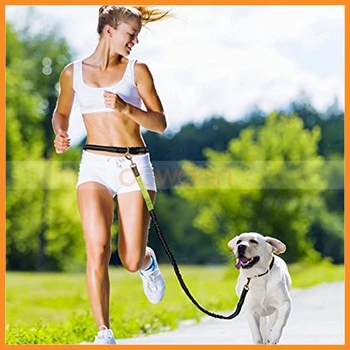 belt leash for dogs