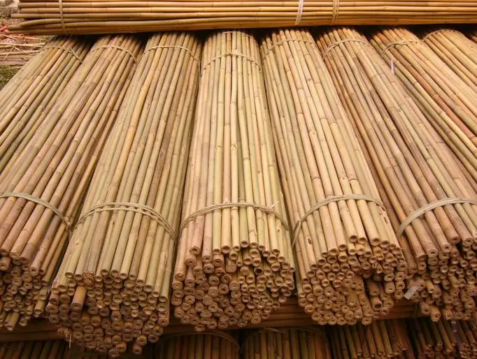 Eco cheap large poles tonkin strong stick garden 300 bamboo wall slat fencing screening garden outdoor