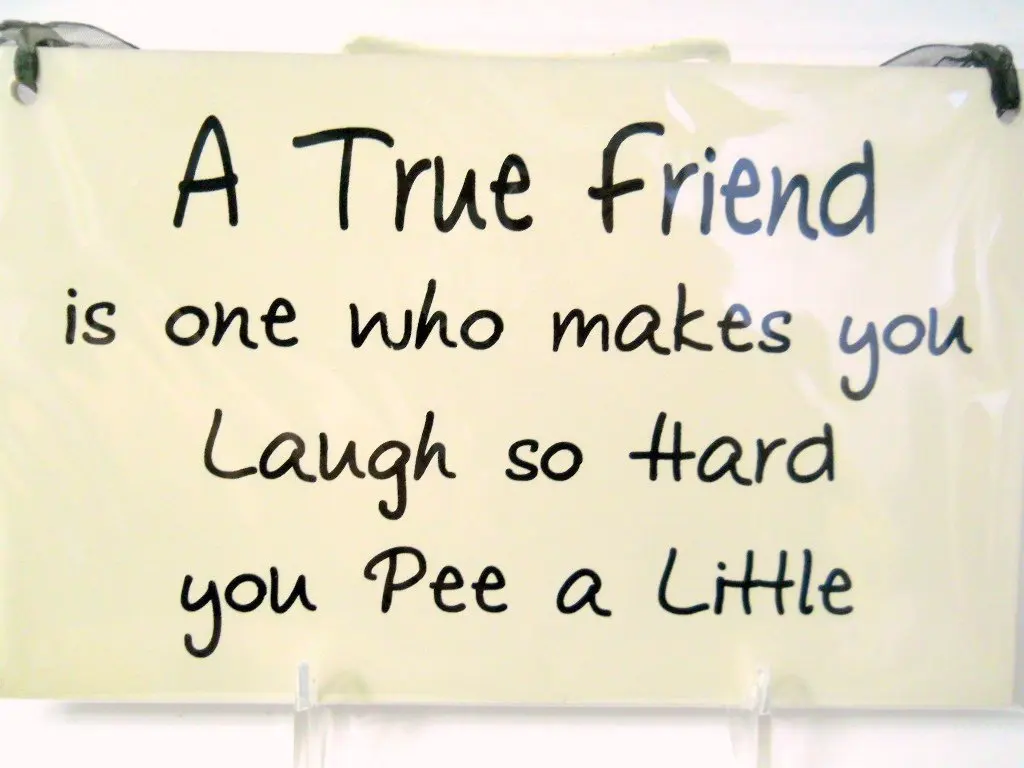 Buy Funny Humorous Signs A True Friend Is One Who Makes You Laugh So Hard You Pee A Little In Cheap Price On Alibaba Com