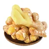 Chinese fresh new ginger with reasonable price