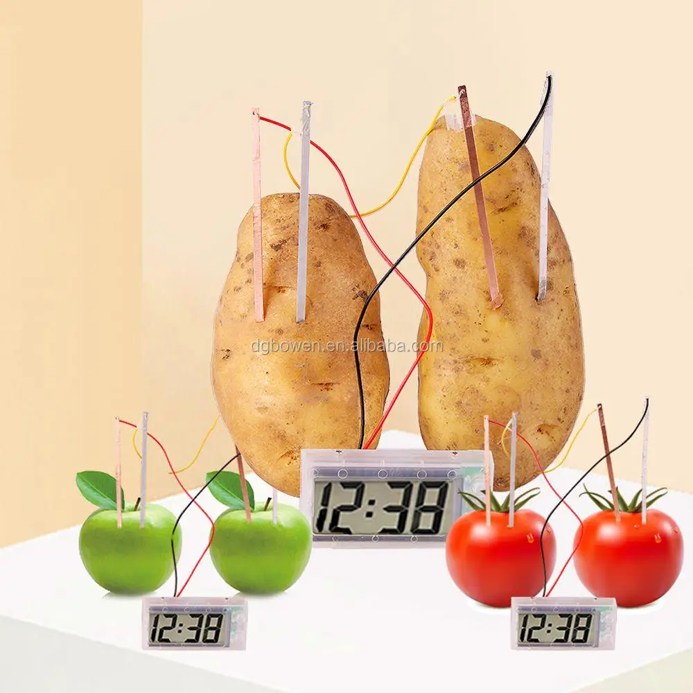 Potato Clock Toy Set Lab Fruit Learning Experiment Kit Science Project