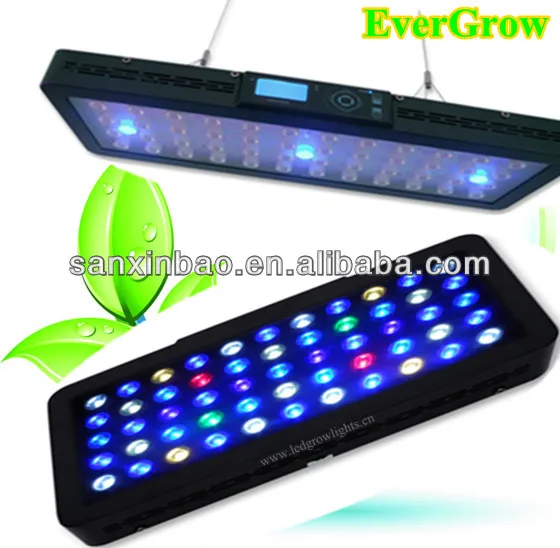 IT 2040 LED aquarium light-1