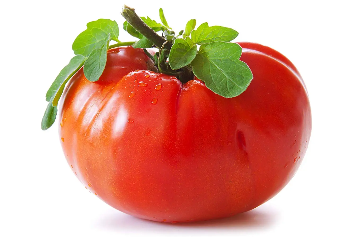 Goliath Tomato Seed. 