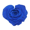 Buy Wholesale Royal Blue Stabilized Flowers That Last 5 Years at Low Price