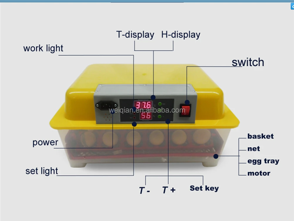 Capacity 24 Chicken Eggs Mini Automatic Incubator Wq-24 ...