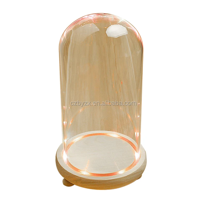 glass dome (2).jpg