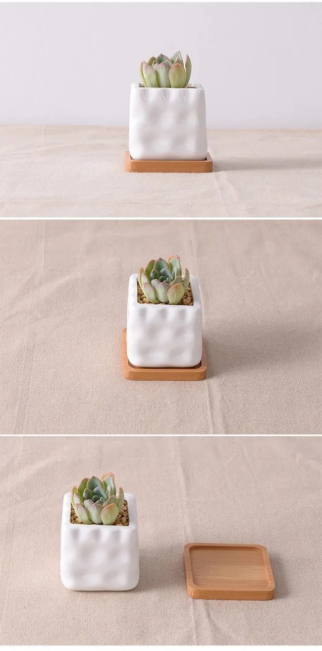 Creative Design 2 Inch Mini White Ceramic Planter Pot With Saucer Buy