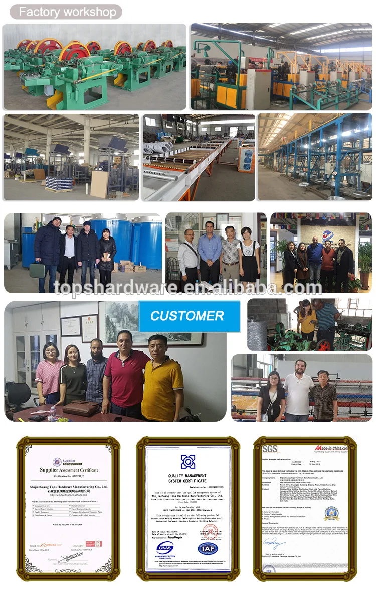 Good Quality High Seed Umbrella Head Roofing Nails Making Machine_12