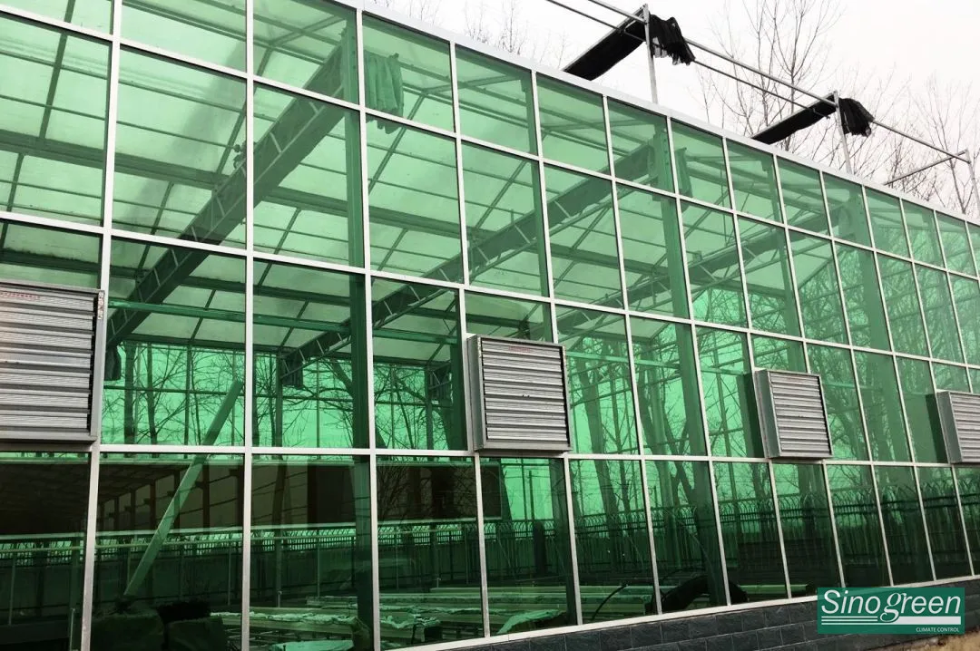 Exhaust fans (1).jpg