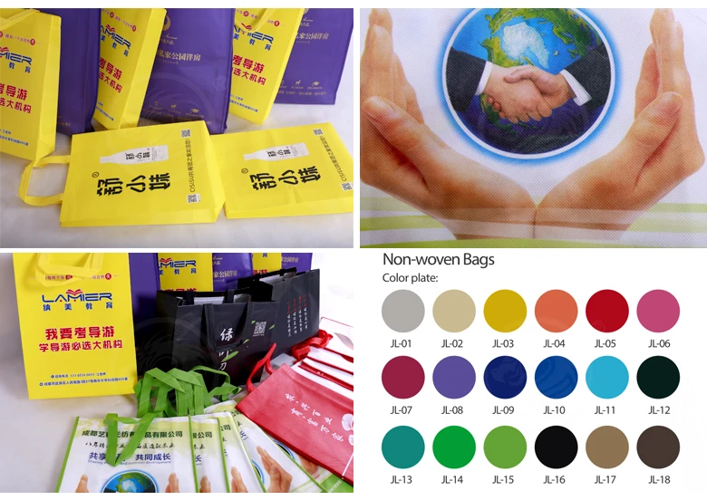 Wholesale Custom Foldable Shopping Recycle Pp Non-Woven Bag