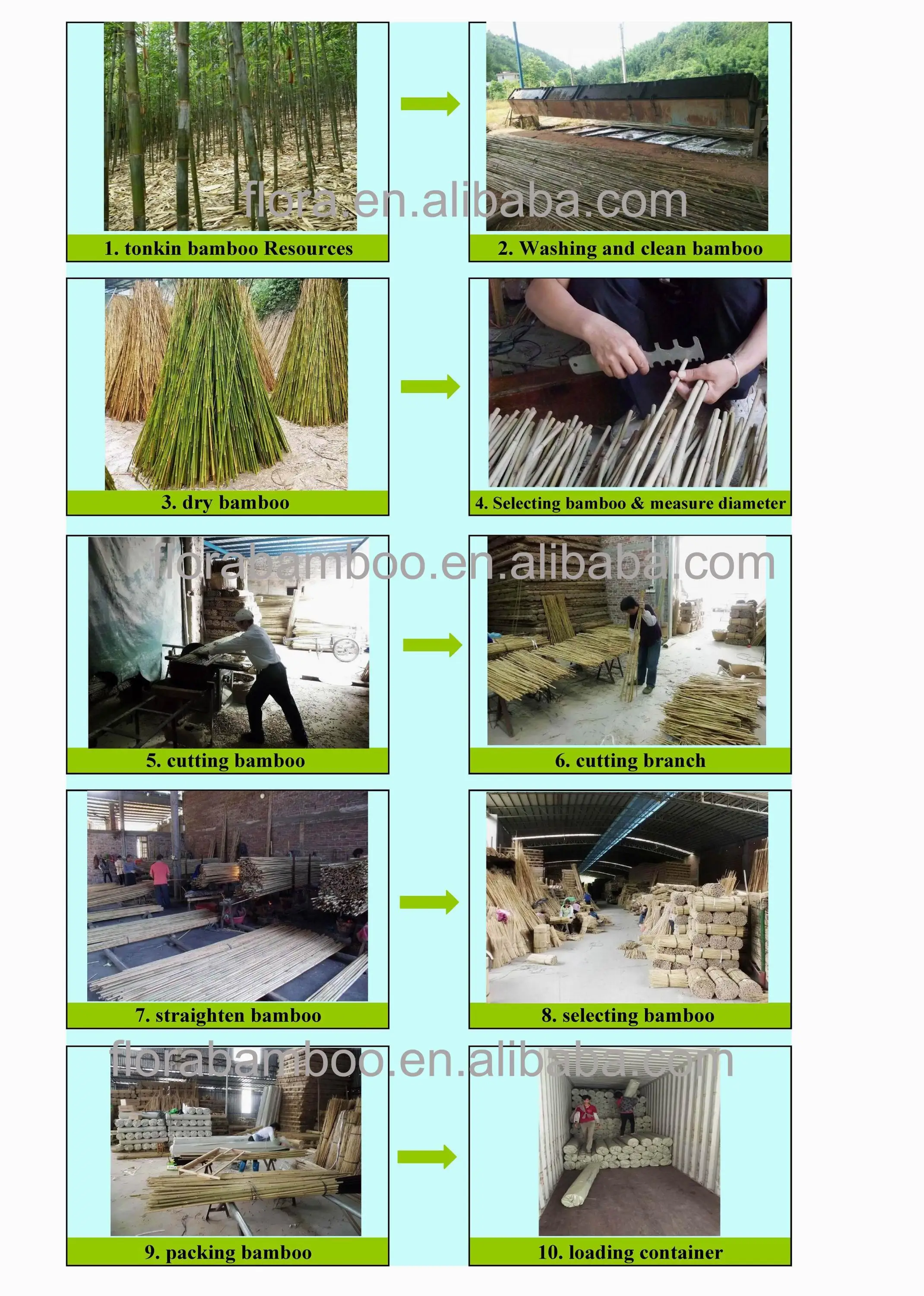 Natural Straight Bamboo Cane Dia.810 Mm X L 60cm Buy Bamboo Cane