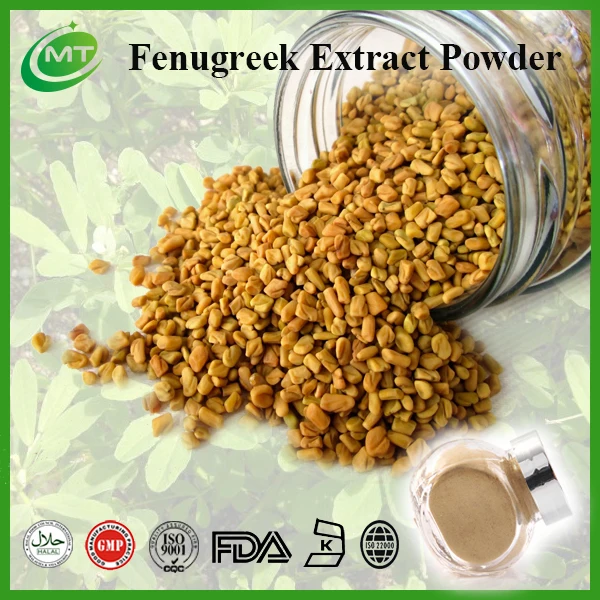 Hot Selling Fenugreek Extract Powder/50 Fenugreek Saponins Trigonella