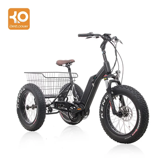 fat tire electric cargo bike