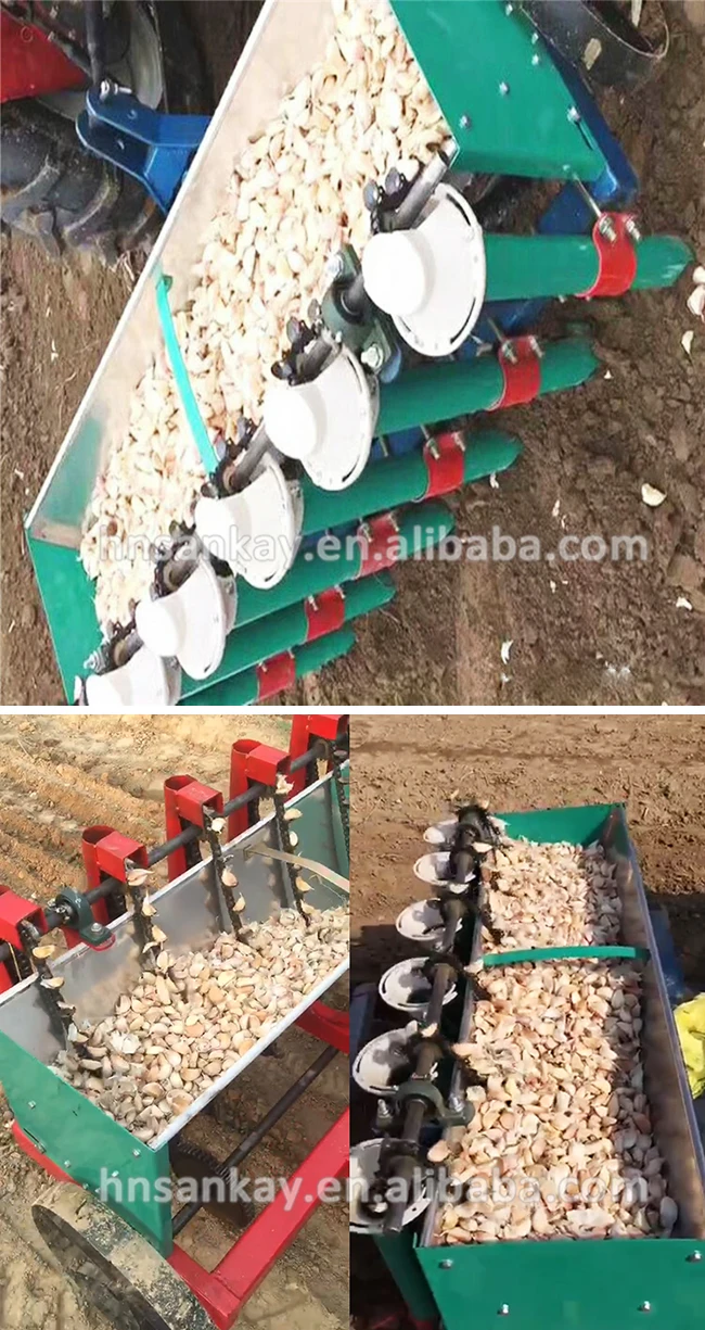 Garlic Farming Equipment/ Garlic Seeds Planting/ Garlic Planter For