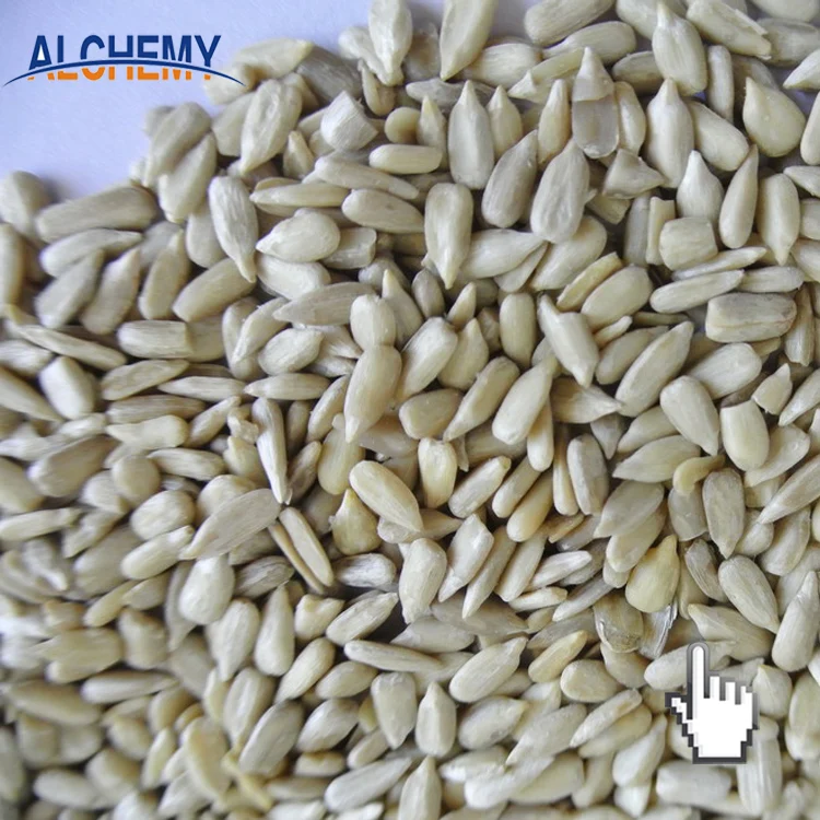 Turkish Hybrid Black Sunflower Seed Price Per Ton Buy Hulled