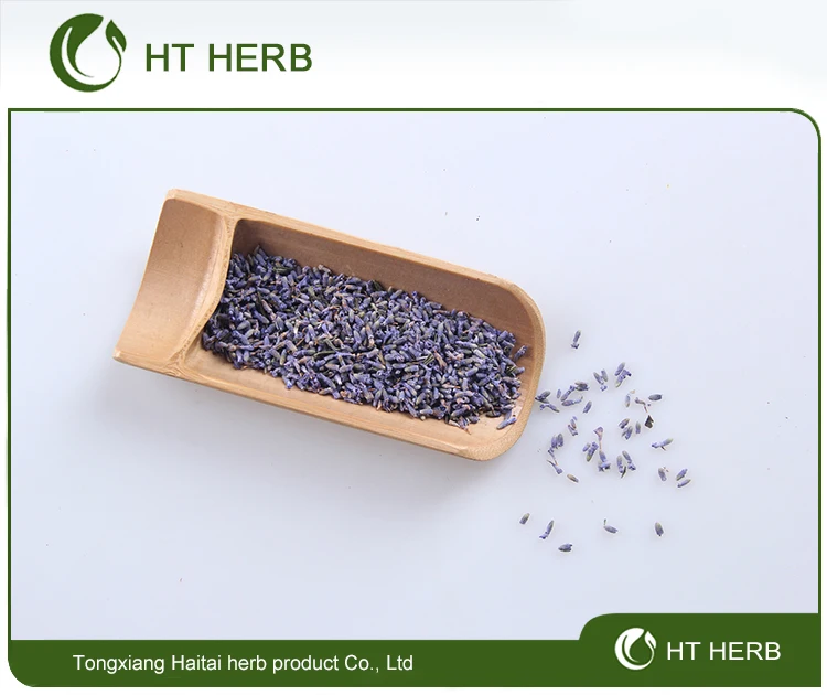 2019 new HERB Lavender bags Lavender Dried Tea - 4uTea | 4uTea.com