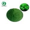 Wholesale High Quality Chlorella Powder For Bodybuilding Supplements