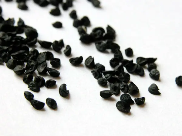 Черные семена похожие. Маленькие черные семена. Семена мелкие черные цветы. Семена черные крупные. Черные маленькие семечки.