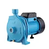 0.75 HP Self Priming Cheap Electric Agricultural Irrigation Water Pump Systems