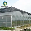Easy install Plastic film multi span green house for vegetable