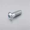 1D18.A51A.01 Class 10.9 steel trox socket round head bolt triangle thread s12 self tapping screws