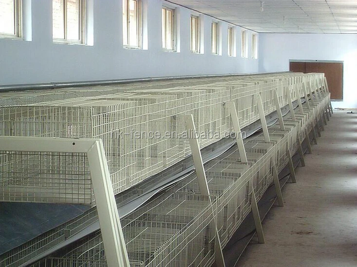 Welded Wire Mesh Commercial Rabbit Cage In Kenya Poultry Farm Buy