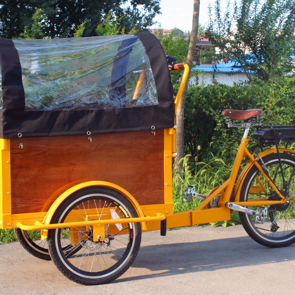 3 wheel bike with child seat