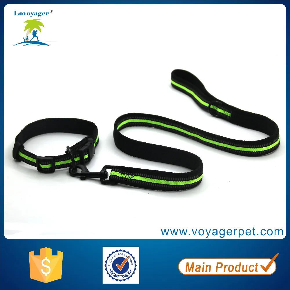 shock collar leash