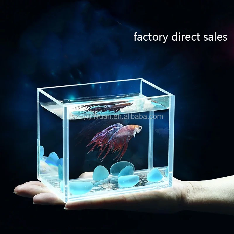 Small Rectangle Clear Acrylic Aquarium Fish Tank Wholesale Best Selling Clear Acrylic Tabletop