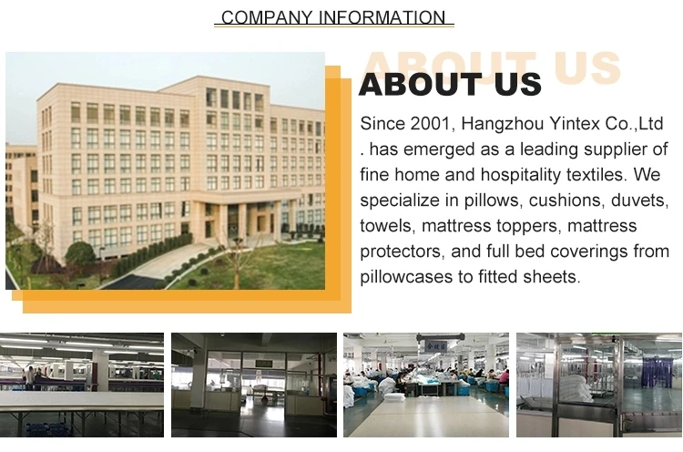 company information.jpg