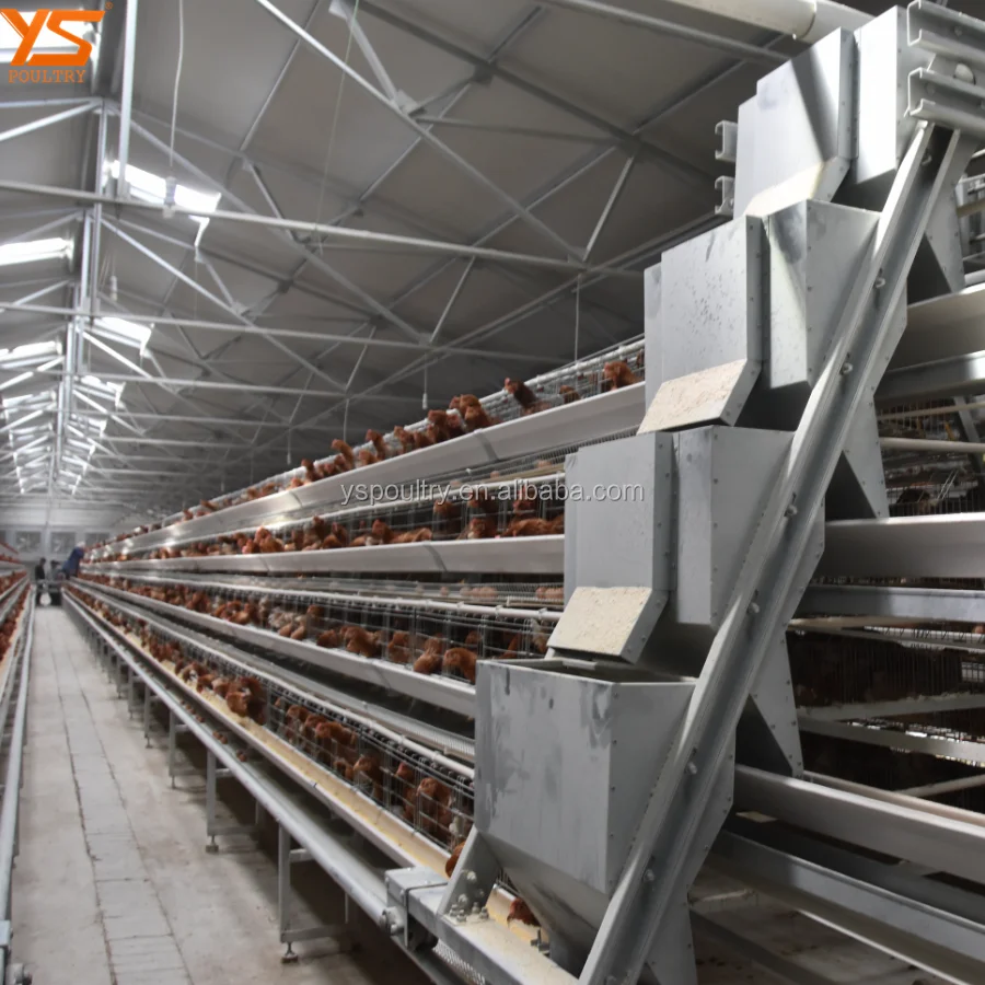 chicken cage38 q.png